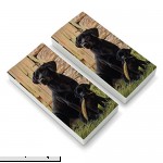 Black Labrador Retriever Dog Puppy Eraser Set of 2  B07CRSDZ13